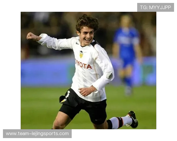 足球球星辉煌历程全记录百度云盘资源合集下载